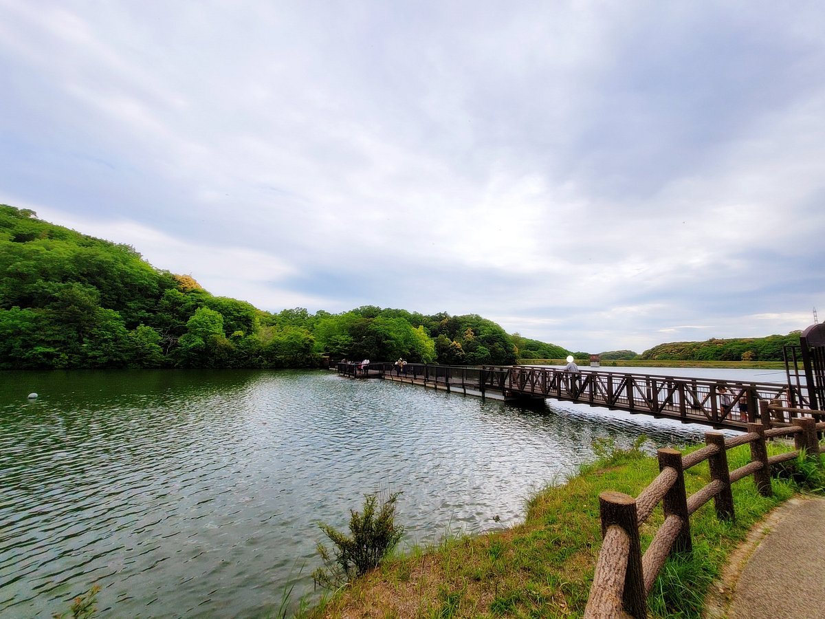 🏞️ 에지오 공원 이미지 3